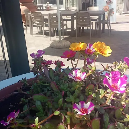Adriatico Hotel